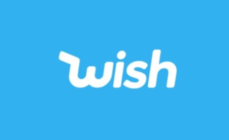Wish: A successful startup story revolutionizing the shopping experience.